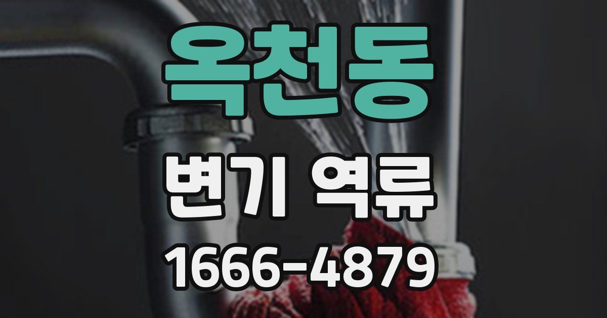 옥천동 변기 역류