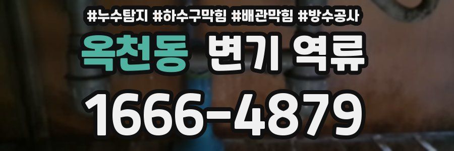 옥천동 변기 역류