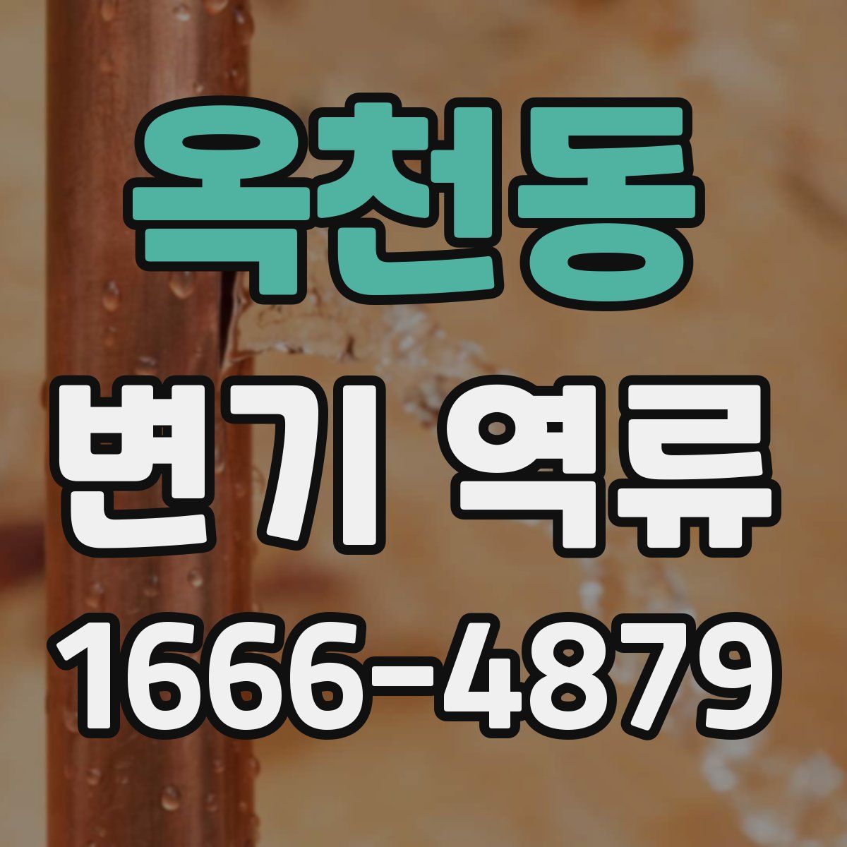 옥천동 변기 역류