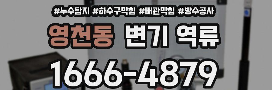 영천동 변기 역류