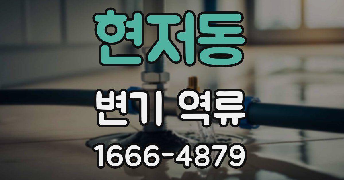 현저동 변기 역류