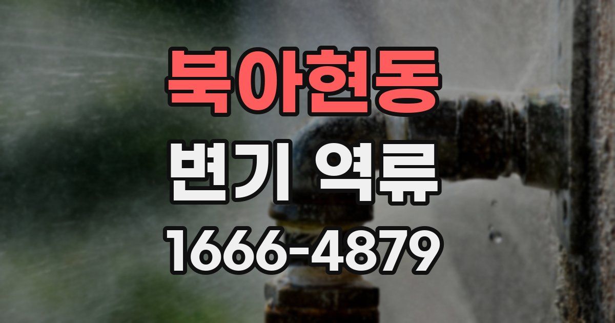 북아현동 변기 역류