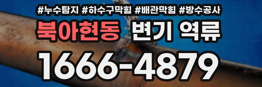 북아현동 변기 역류