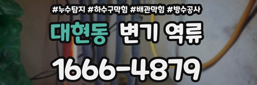 대현동 변기 역류