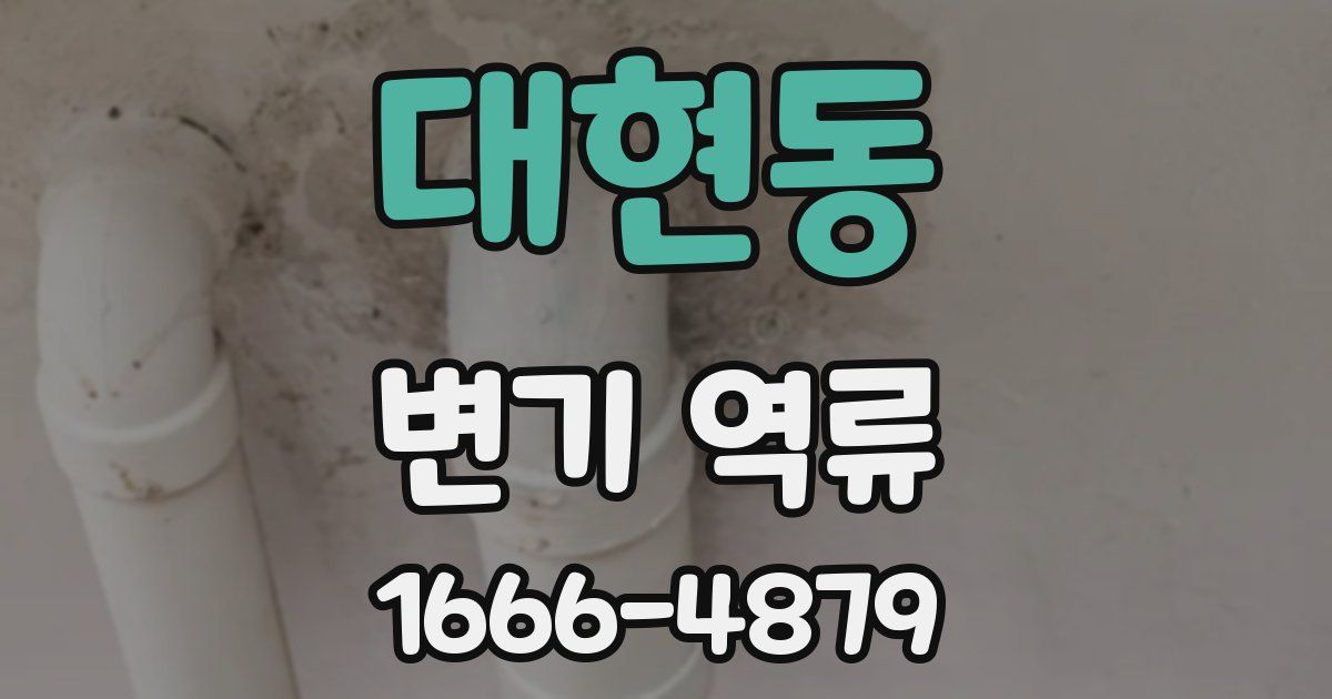 대현동 변기 역류