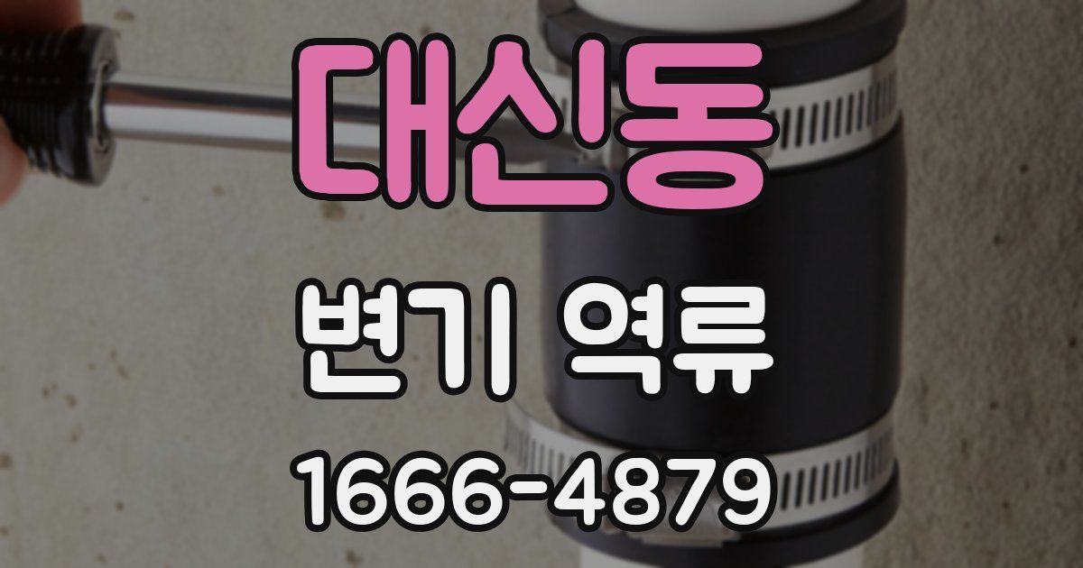 대신동 변기 역류