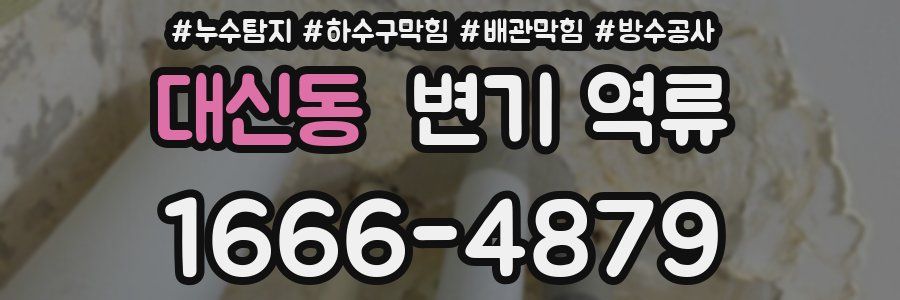 대신동 변기 역류