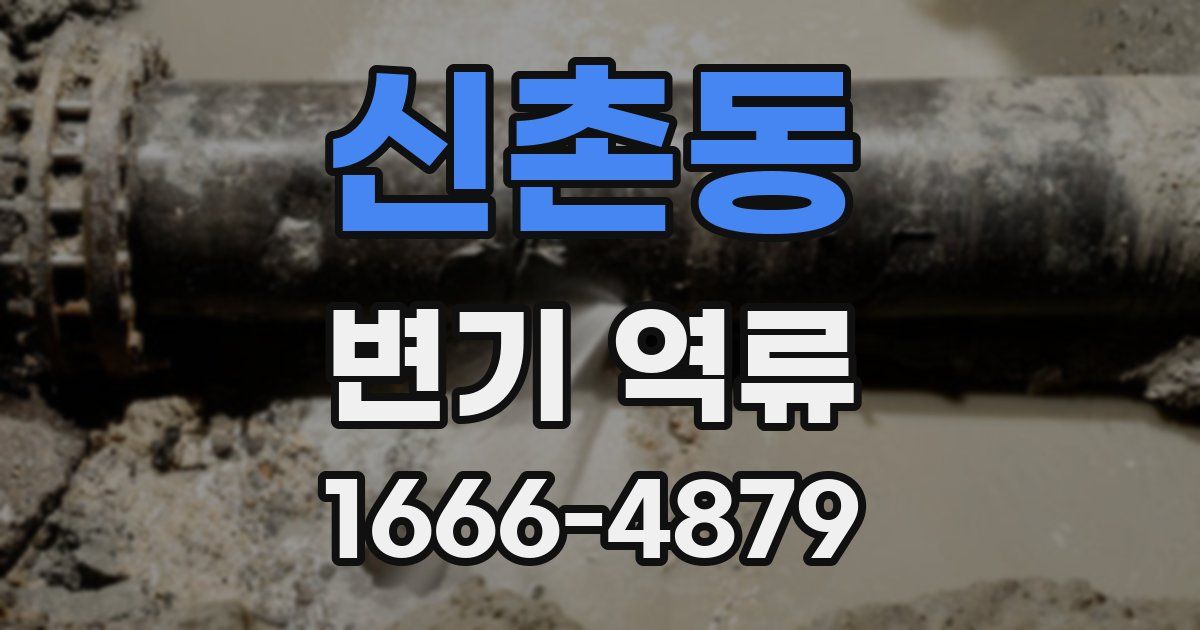 신촌동 변기 역류