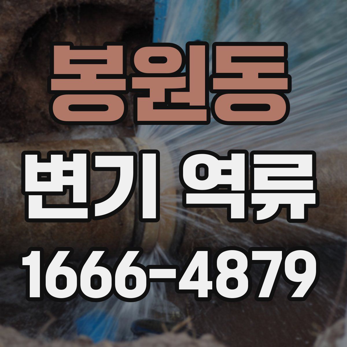 봉원동 변기 역류