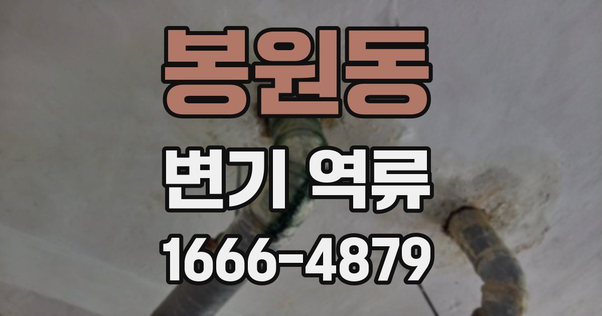 봉원동 변기 역류