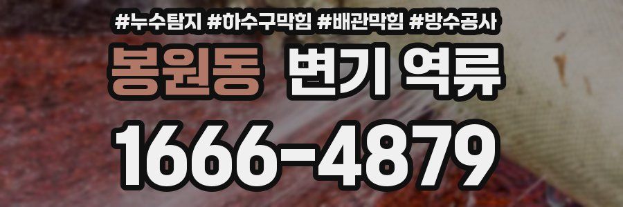 봉원동 변기 역류