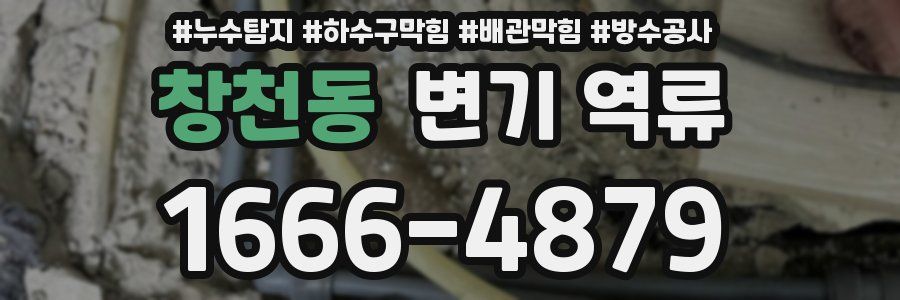창천동 변기 역류