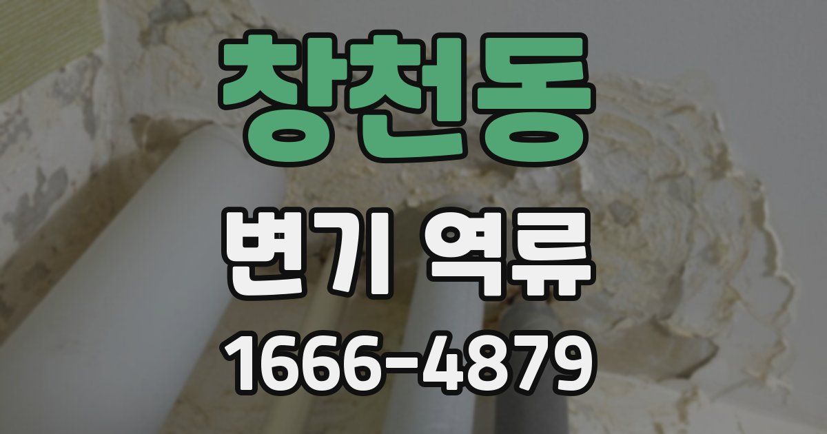 창천동 변기 역류