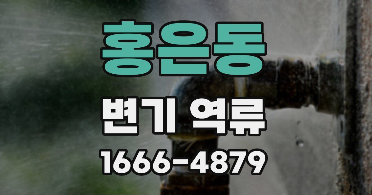 홍은동 변기 역류
