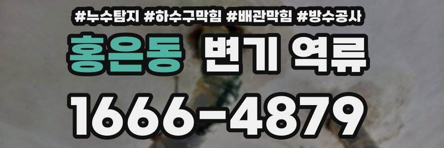 홍은동 변기 역류