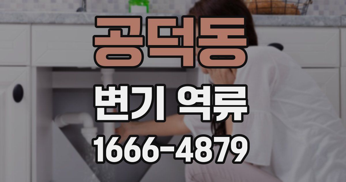 공덕동 변기 역류