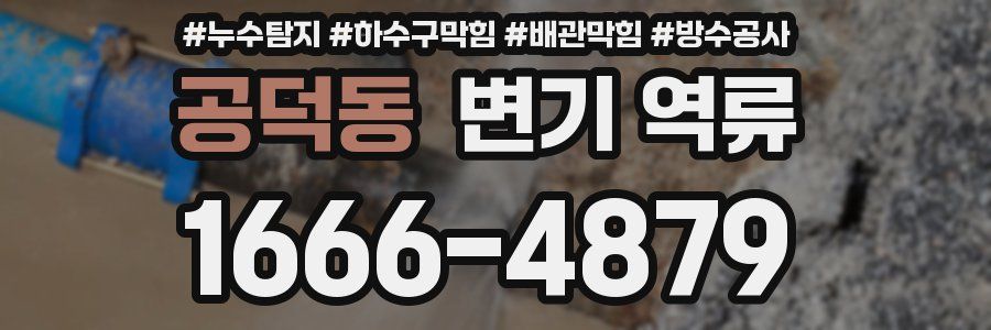 공덕동 변기 역류