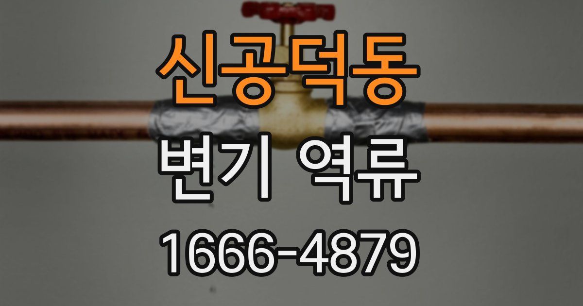 신공덕동 변기 역류
