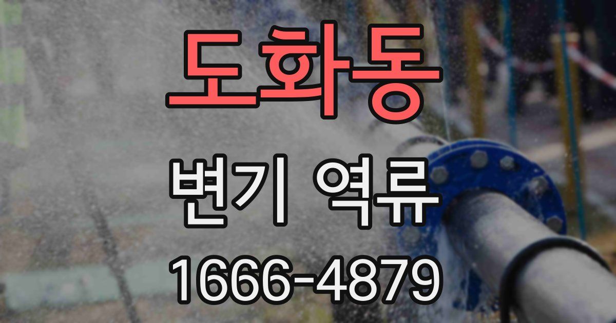 도화동 변기 역류