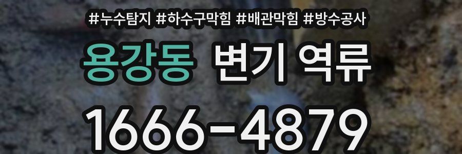 용강동 변기 역류