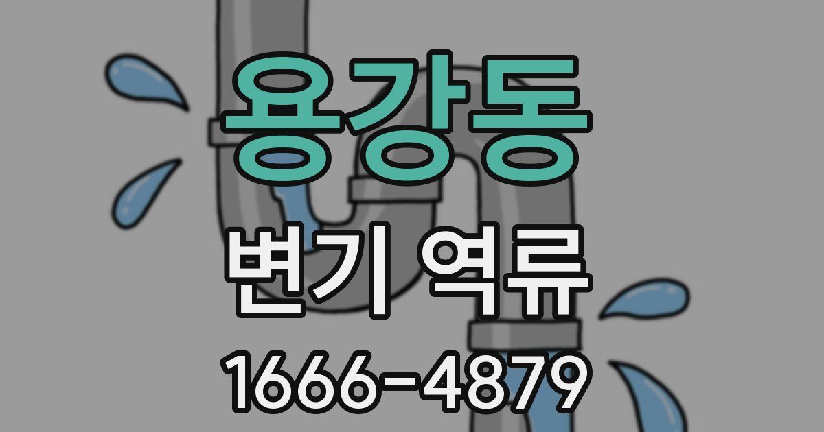 용강동 변기 역류