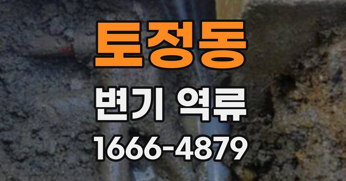 토정동 변기 역류