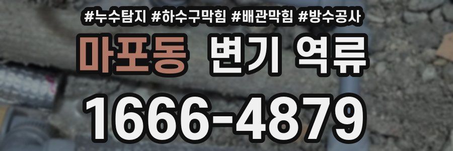 마포동 변기 역류