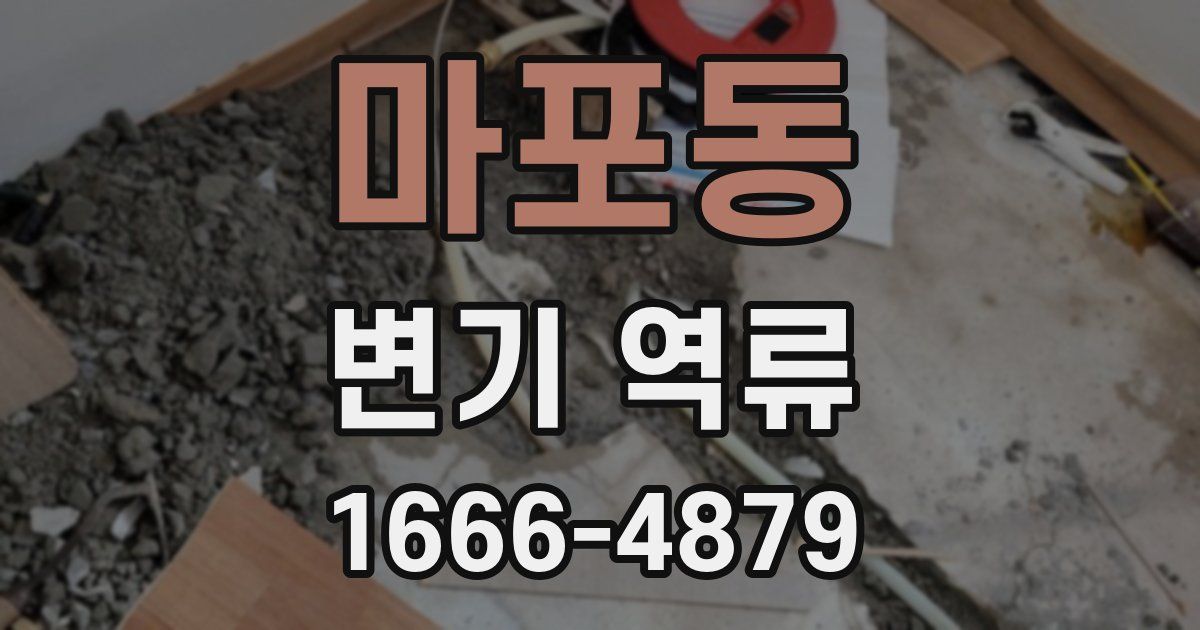 마포동 변기 역류