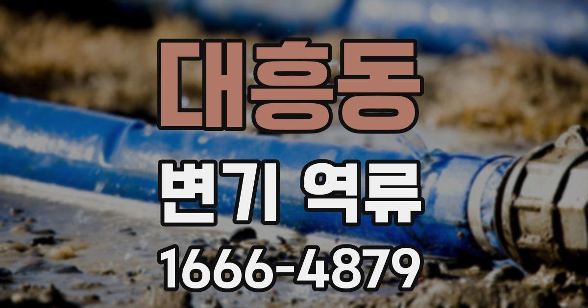 대흥동 변기 역류