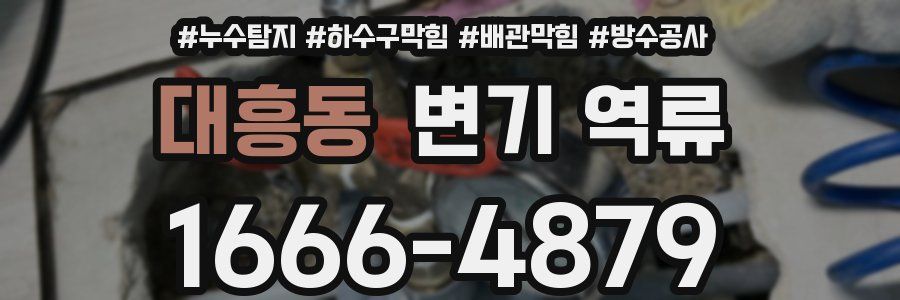 대흥동 변기 역류
