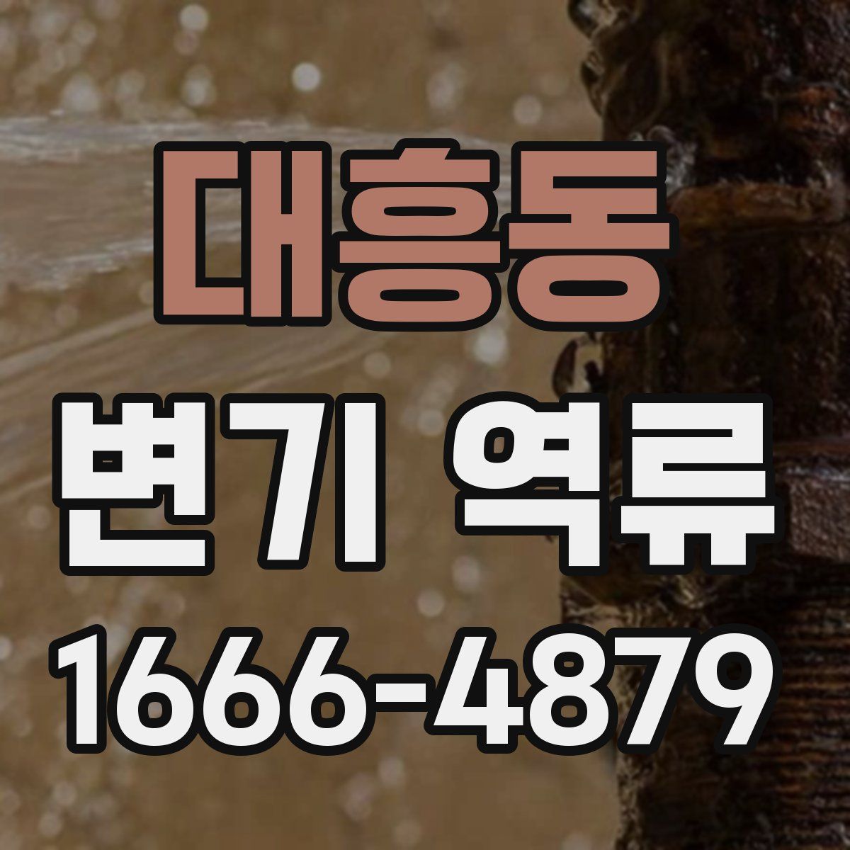대흥동 변기 역류