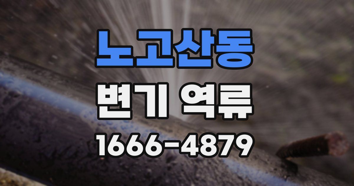노고산동 변기 역류
