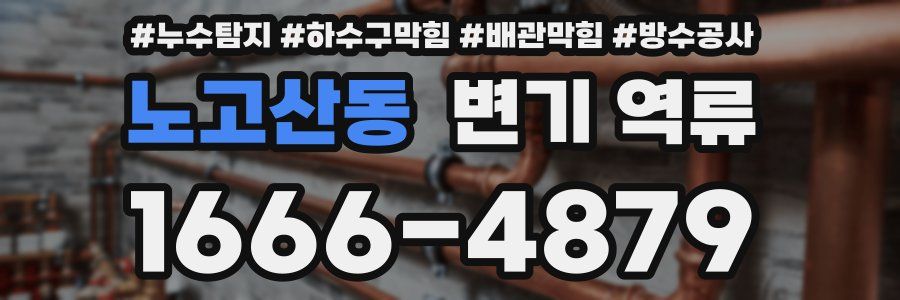 노고산동 변기 역류