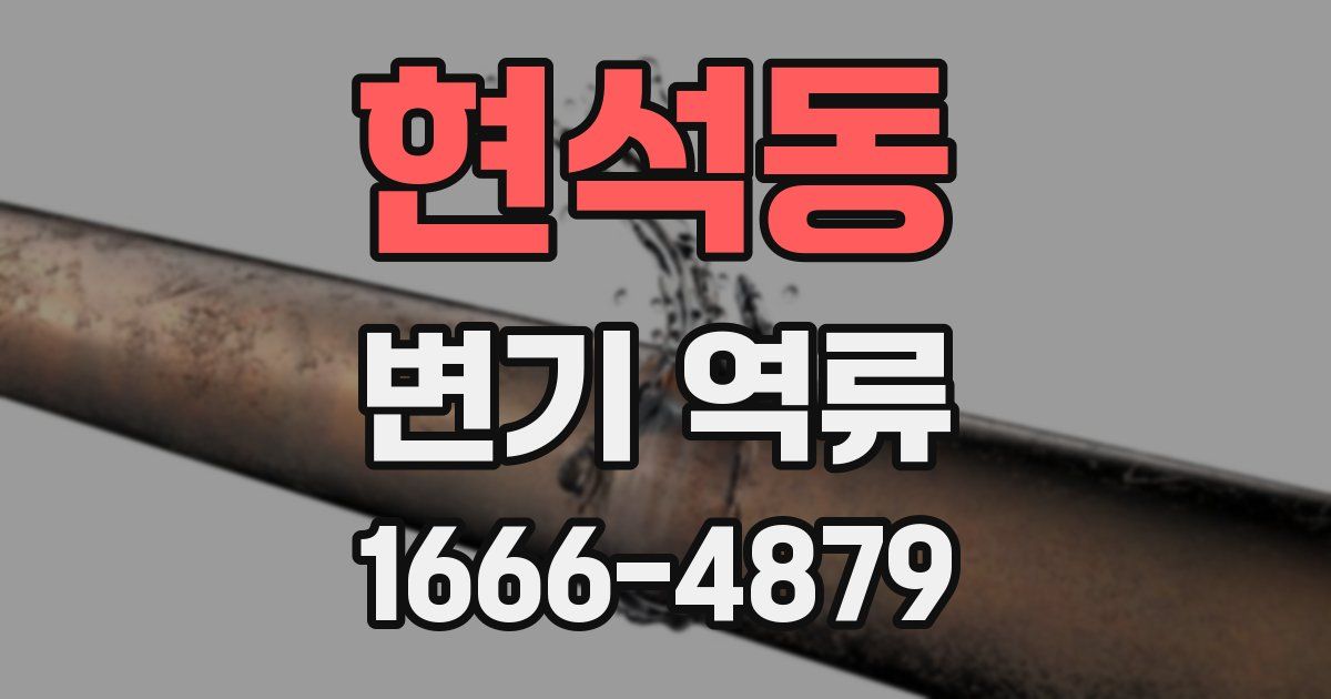 현석동 변기 역류