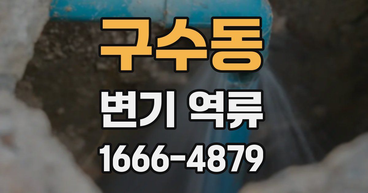 구수동 변기 역류