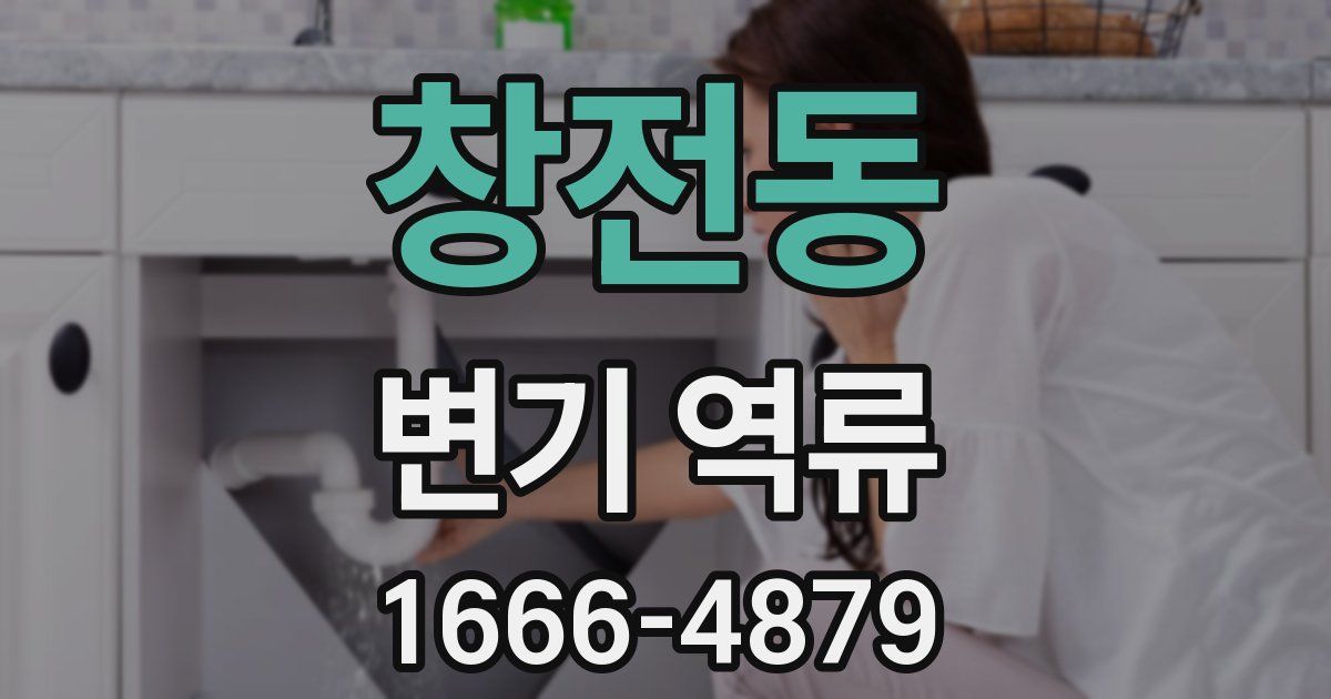 창전동 변기 역류