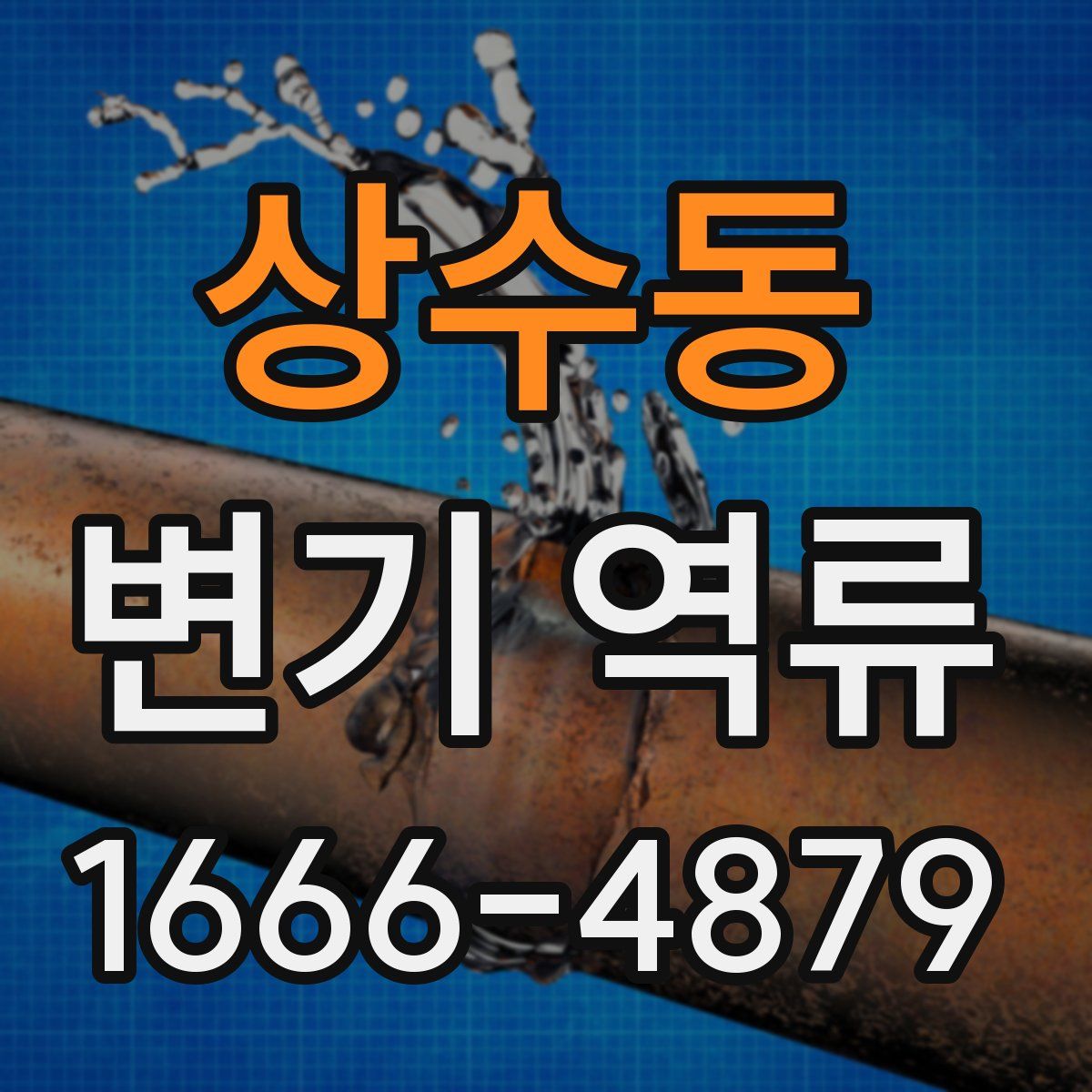상수동 변기 역류