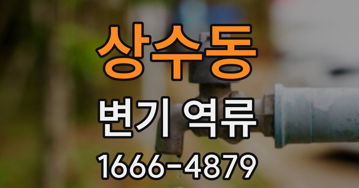 상수동 변기 역류
