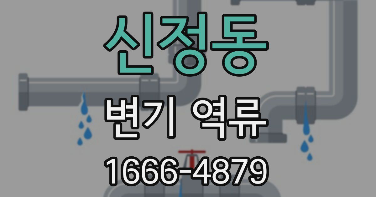 신정동 변기 역류