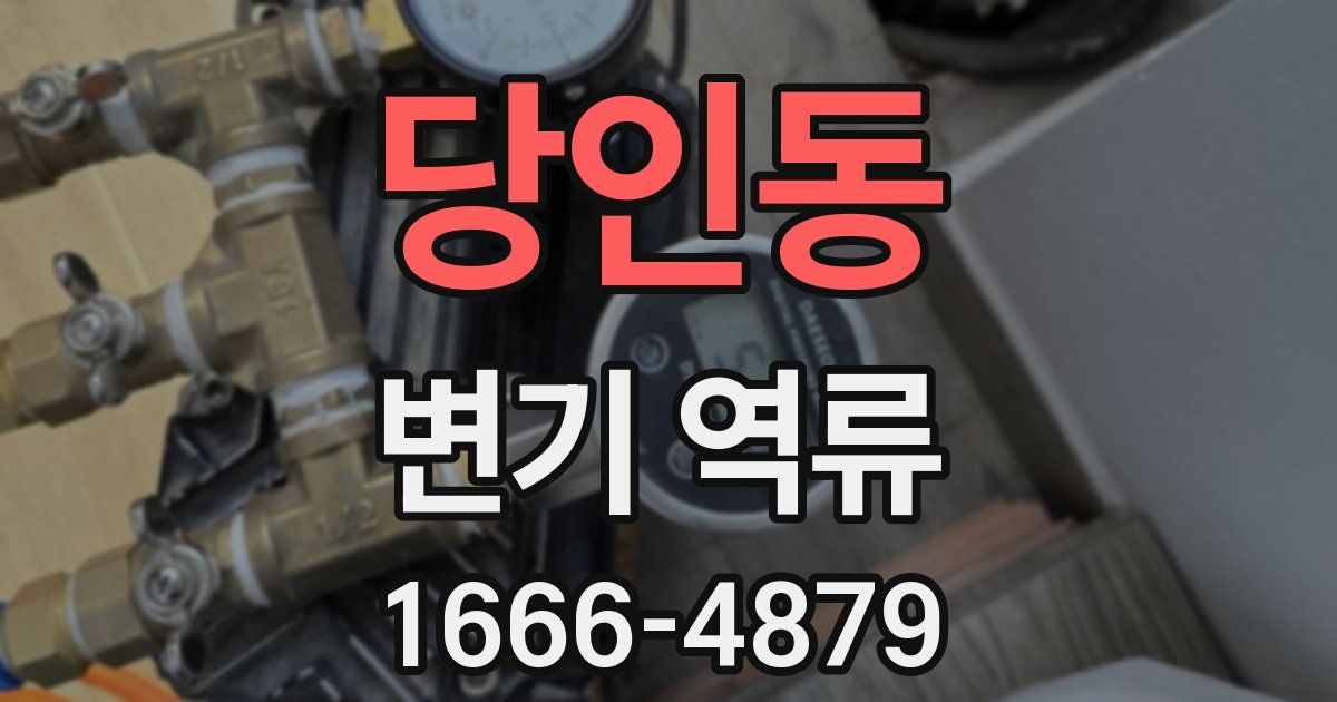 당인동 변기 역류