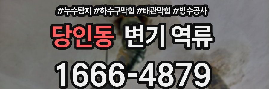 당인동 변기 역류