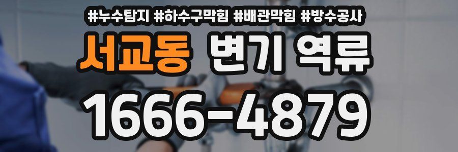 서교동 변기 역류