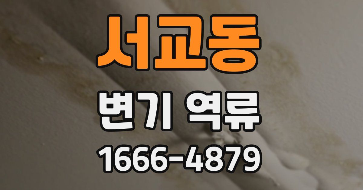 서교동 변기 역류