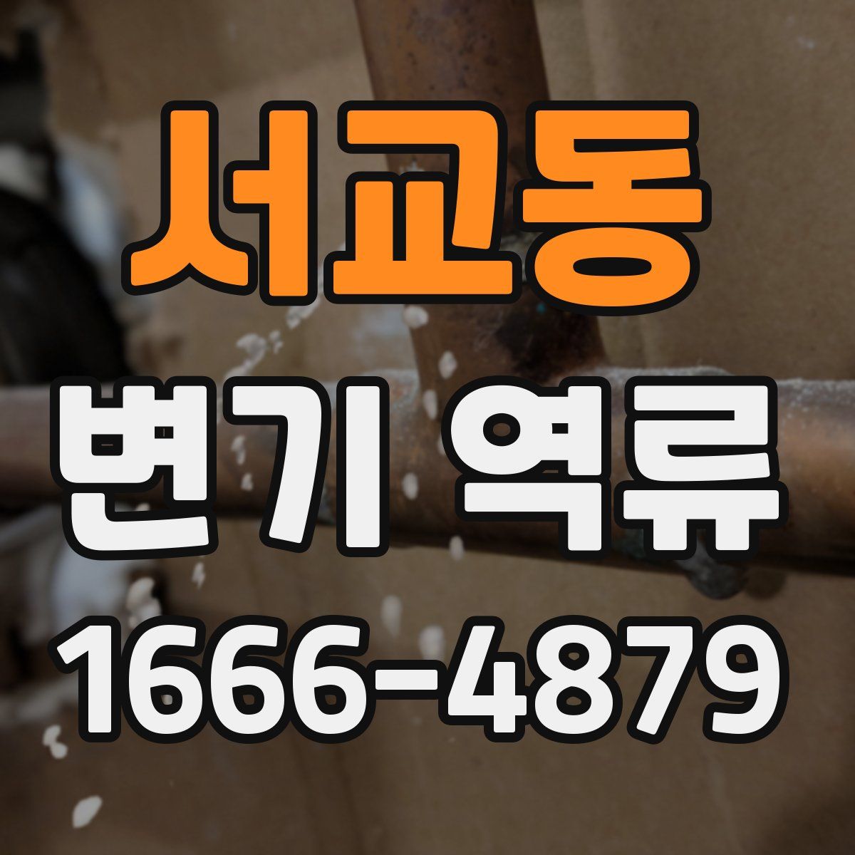 서교동 변기 역류