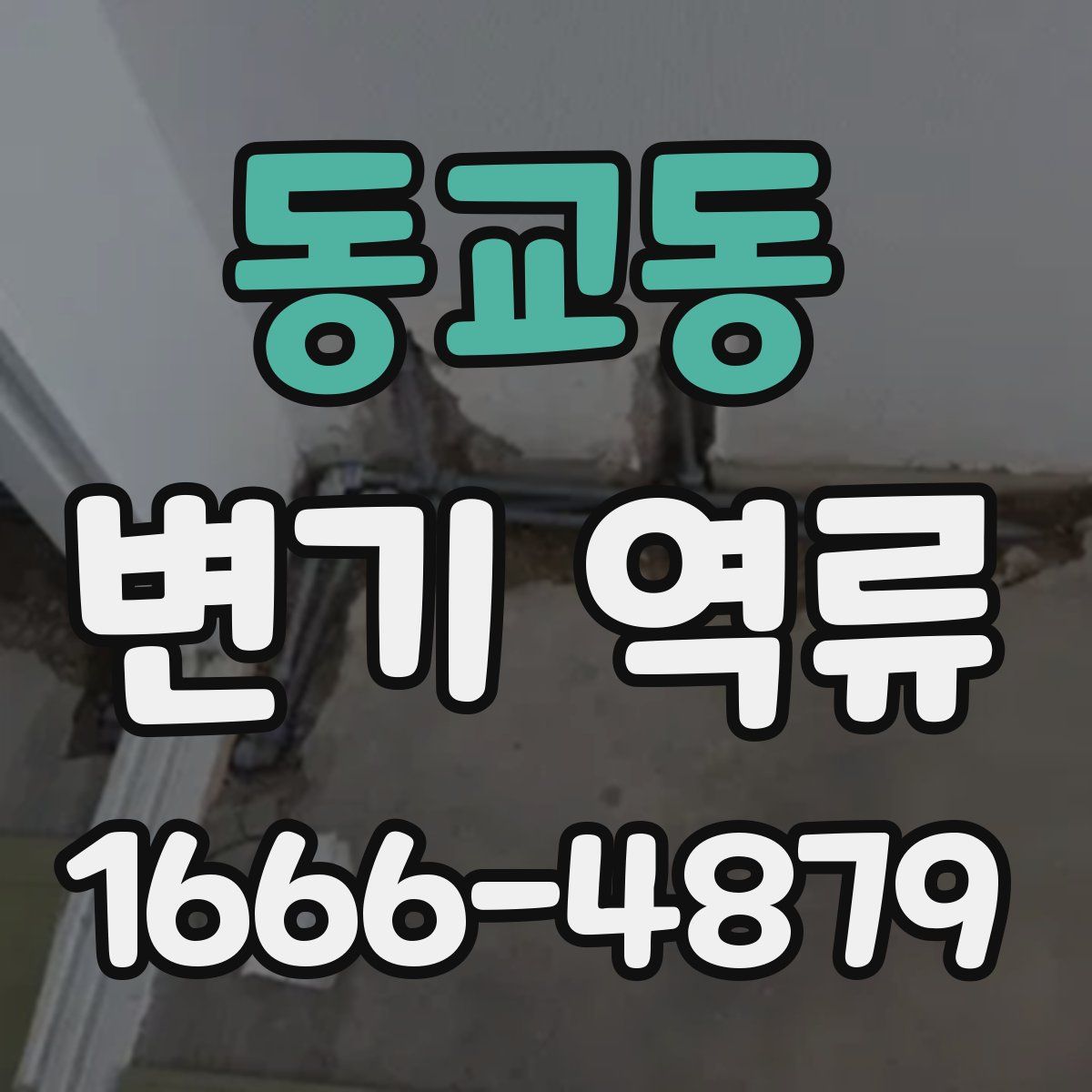 동교동 변기 역류