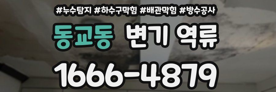 동교동 변기 역류