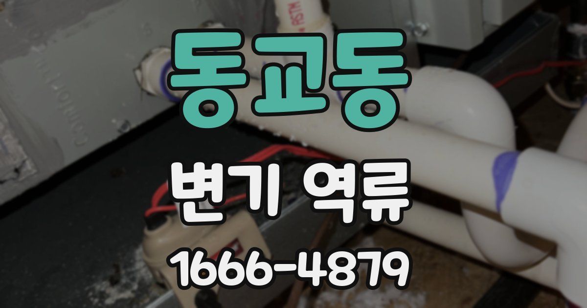 동교동 변기 역류