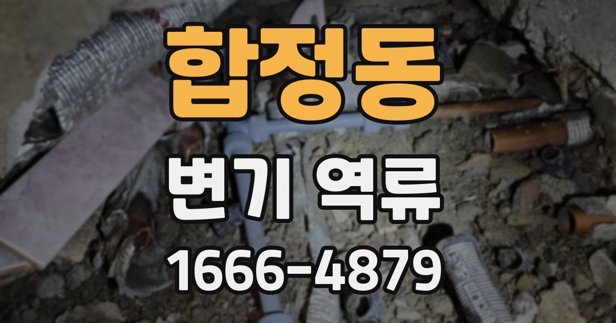 합정동 변기 역류