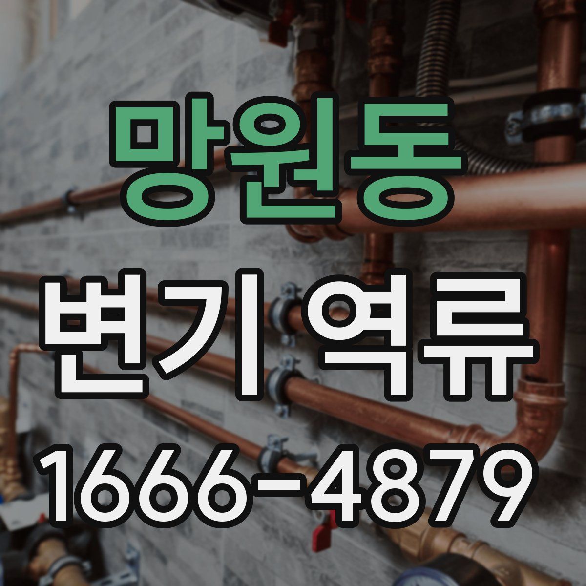 망원동 변기 역류