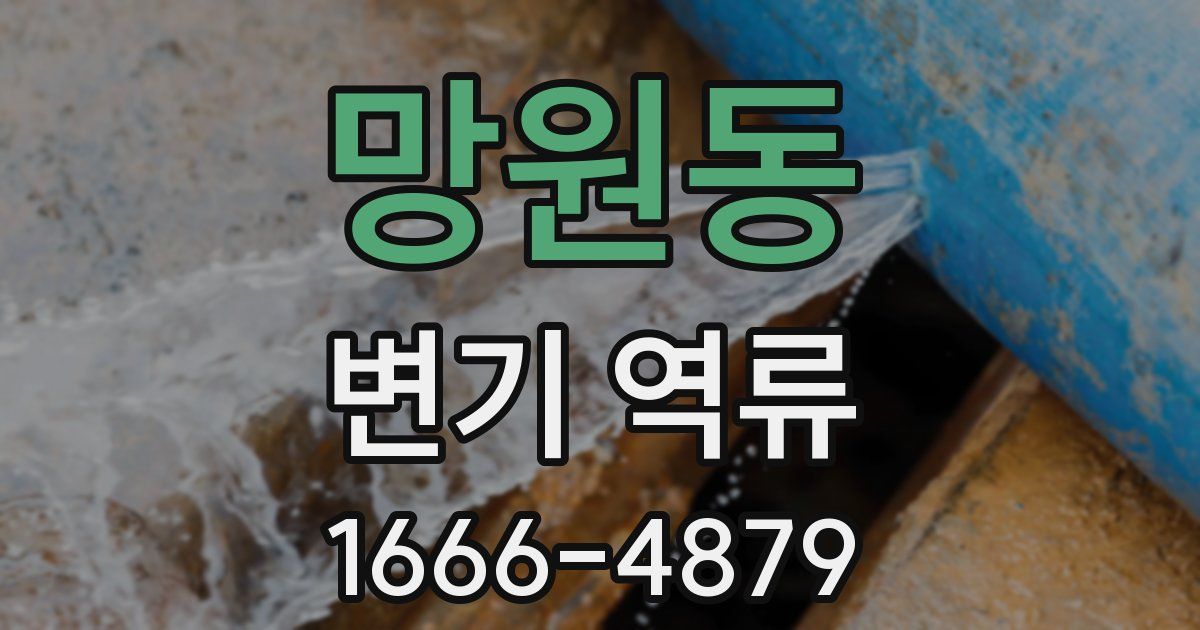 망원동 변기 역류